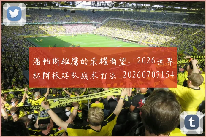 潘帕斯雄鹰的荣耀渴望，2026世界杯阿根廷队战术打法_20260707154813